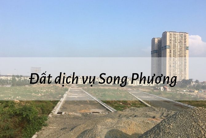 Mua bán đất dịch vụ Song Phương - Làm việc trực tiếp với chủ nhà