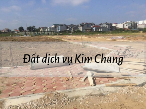 Hình ảnh tổng quan về khu đất dịch vụ Kim Chung